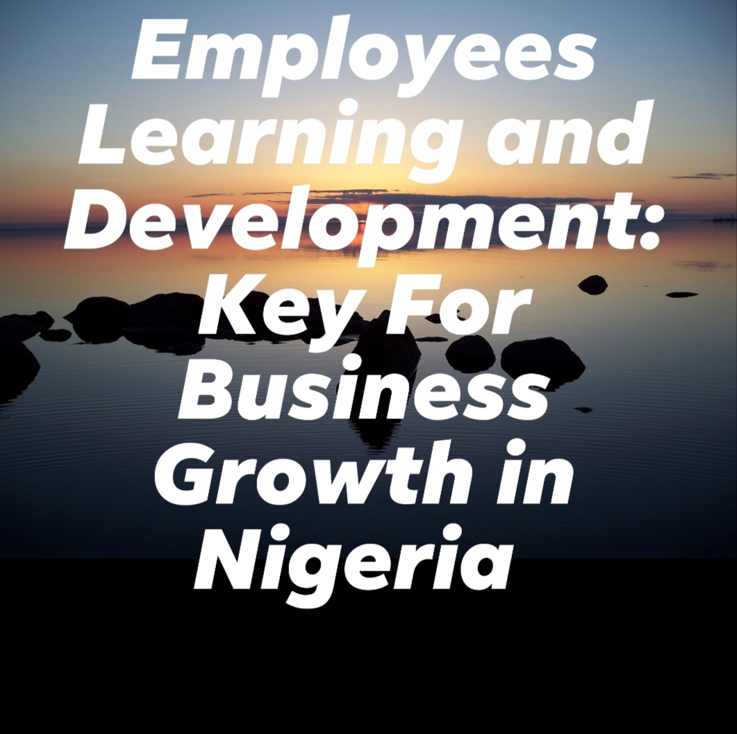 Employees Learning and Development: Key For Business Growth in Nigeria